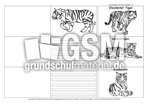 Flip-Flap-Tiger-1.pdf